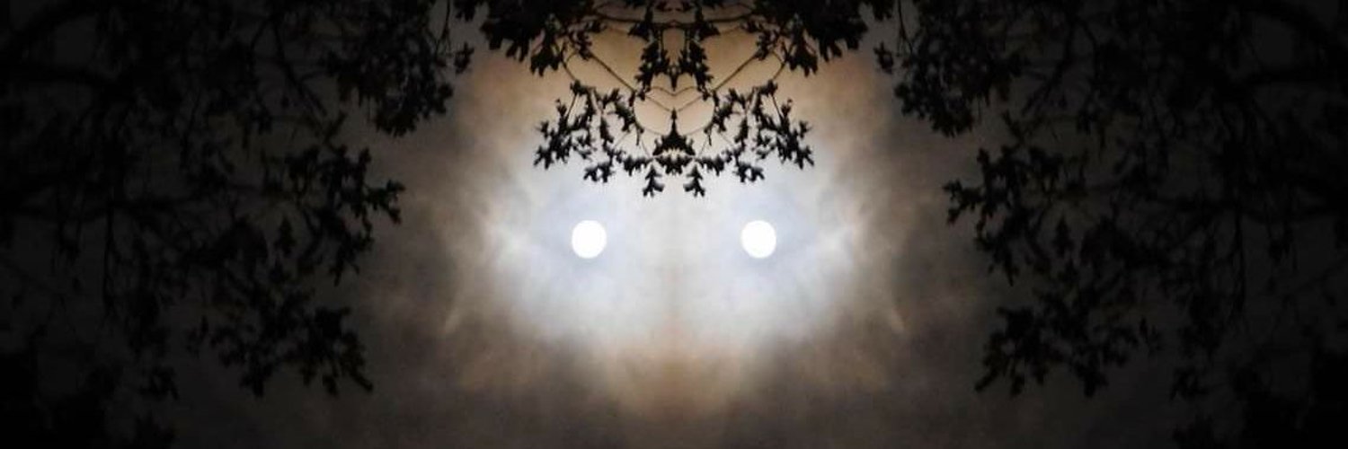 Damian OnlyFans header