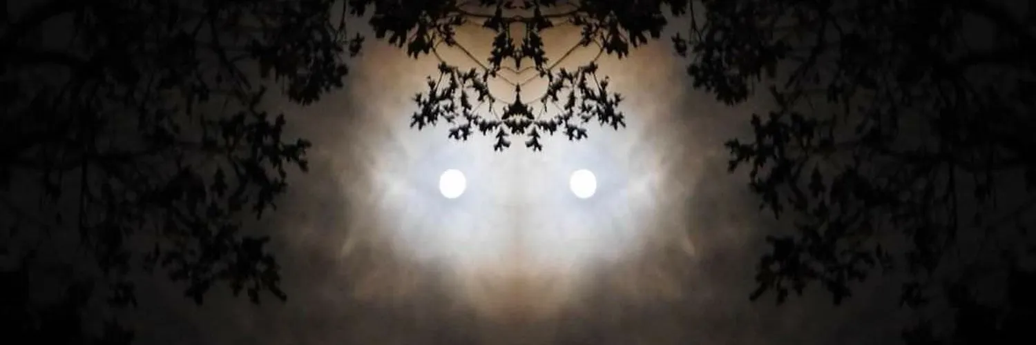 Damian OnlyFans header