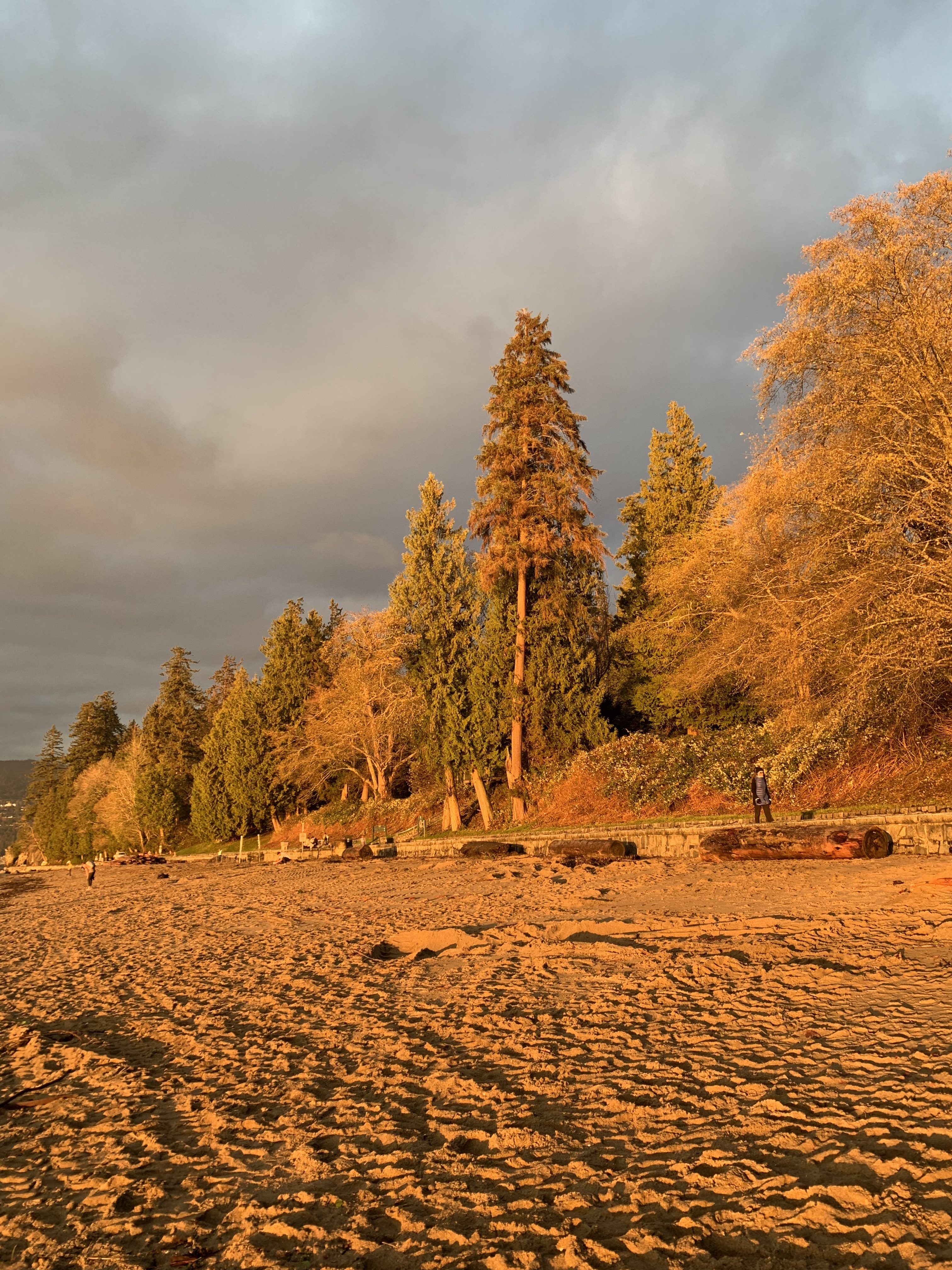 Damien Lou OnlyFans header