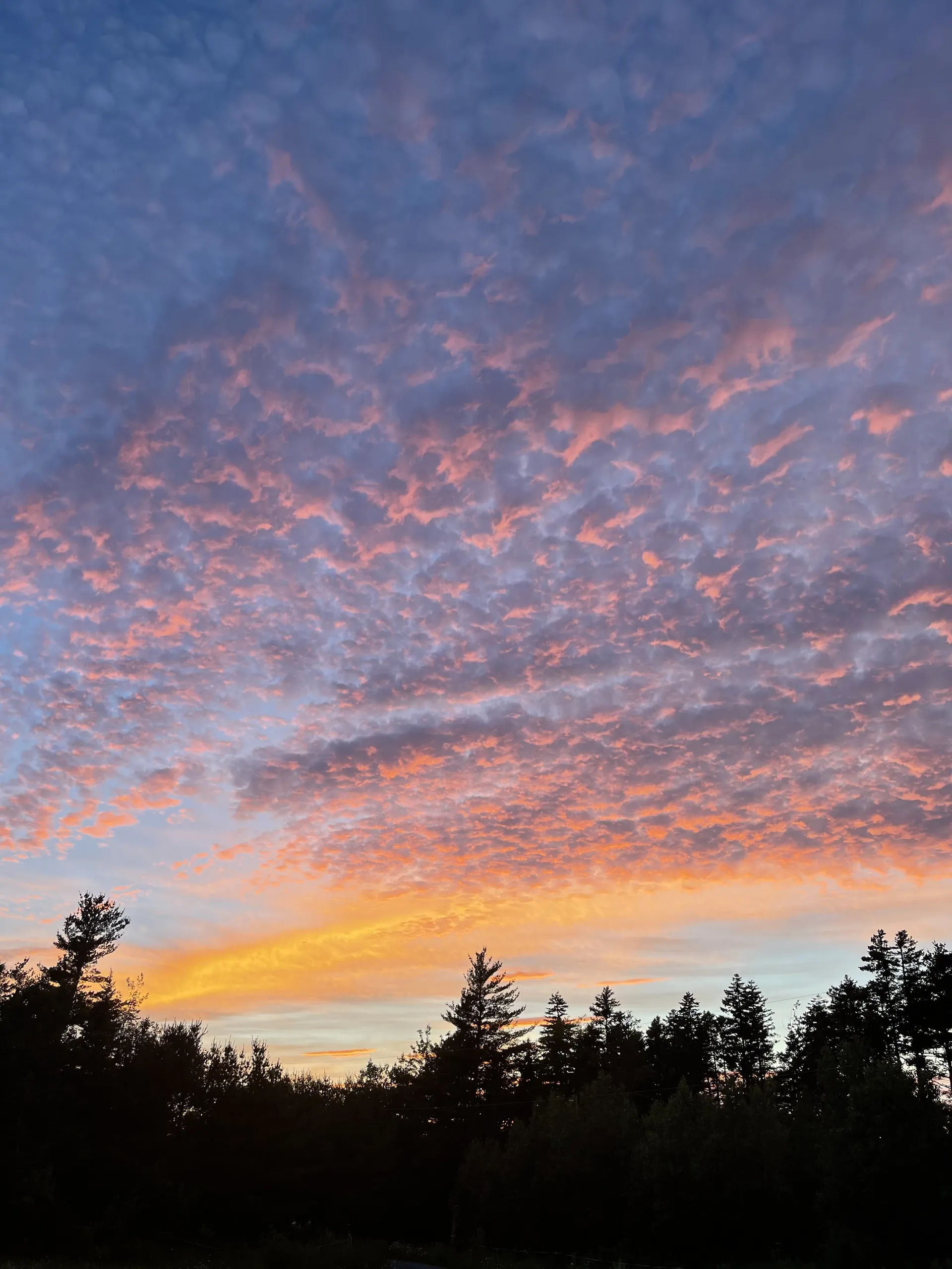 Kat Glitter OnlyFans header