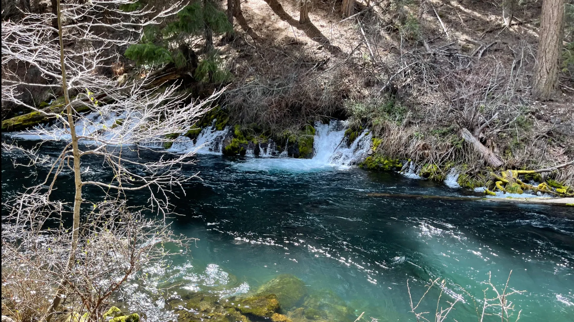 Derek OnlyFans header