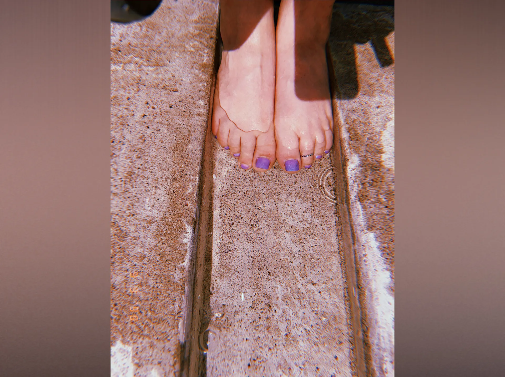 P. Sherman 42 Wallaby Way, SYDNEY OnlyFans header