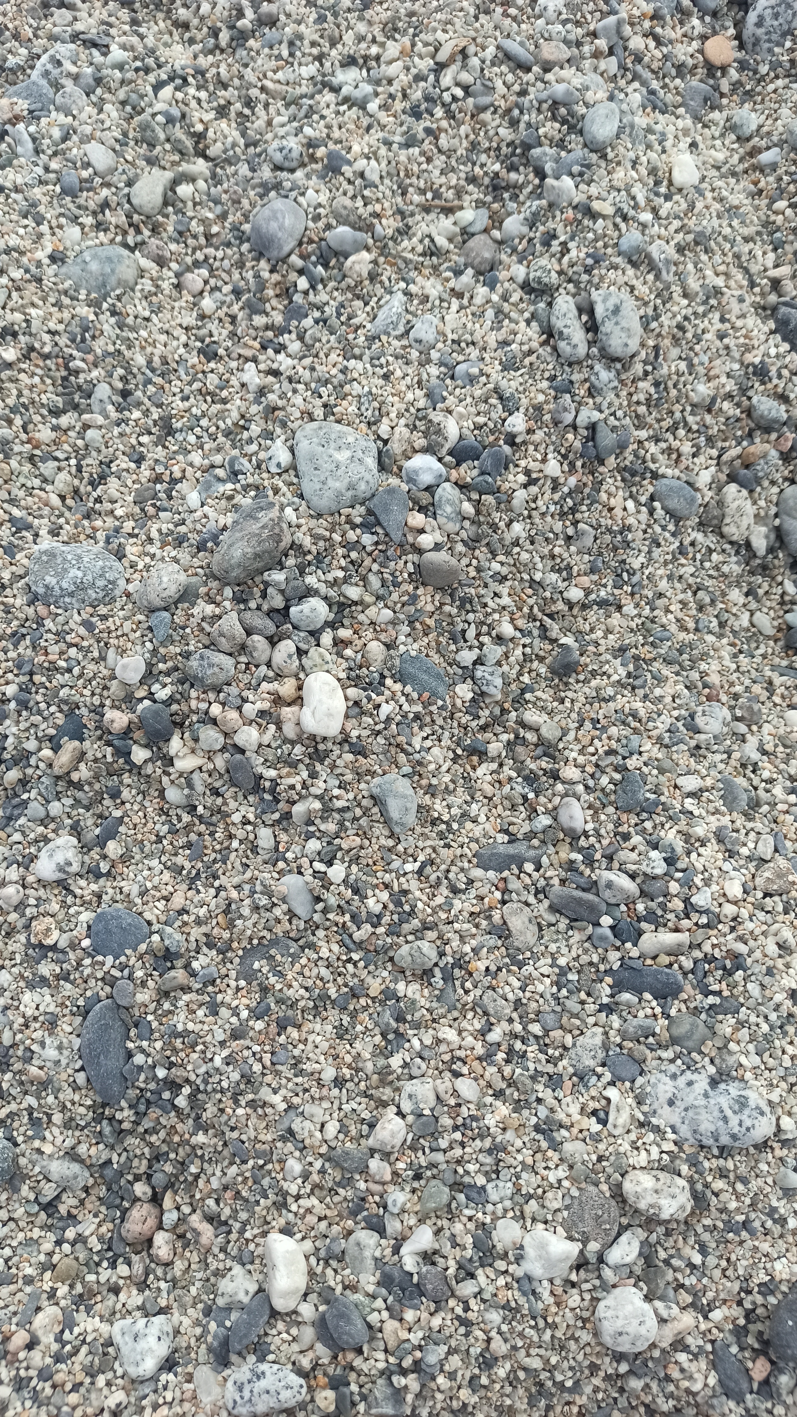 XdottaX OnlyFans header