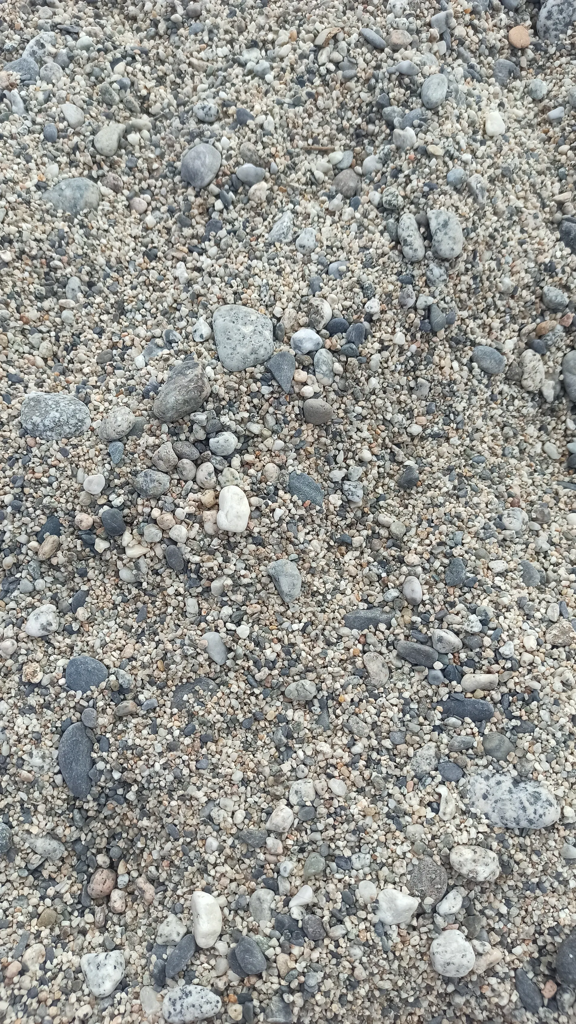 XdottaX OnlyFans header