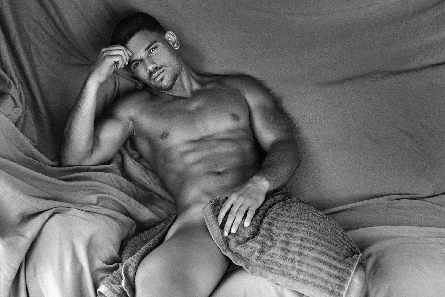 Xealan OnlyFans header