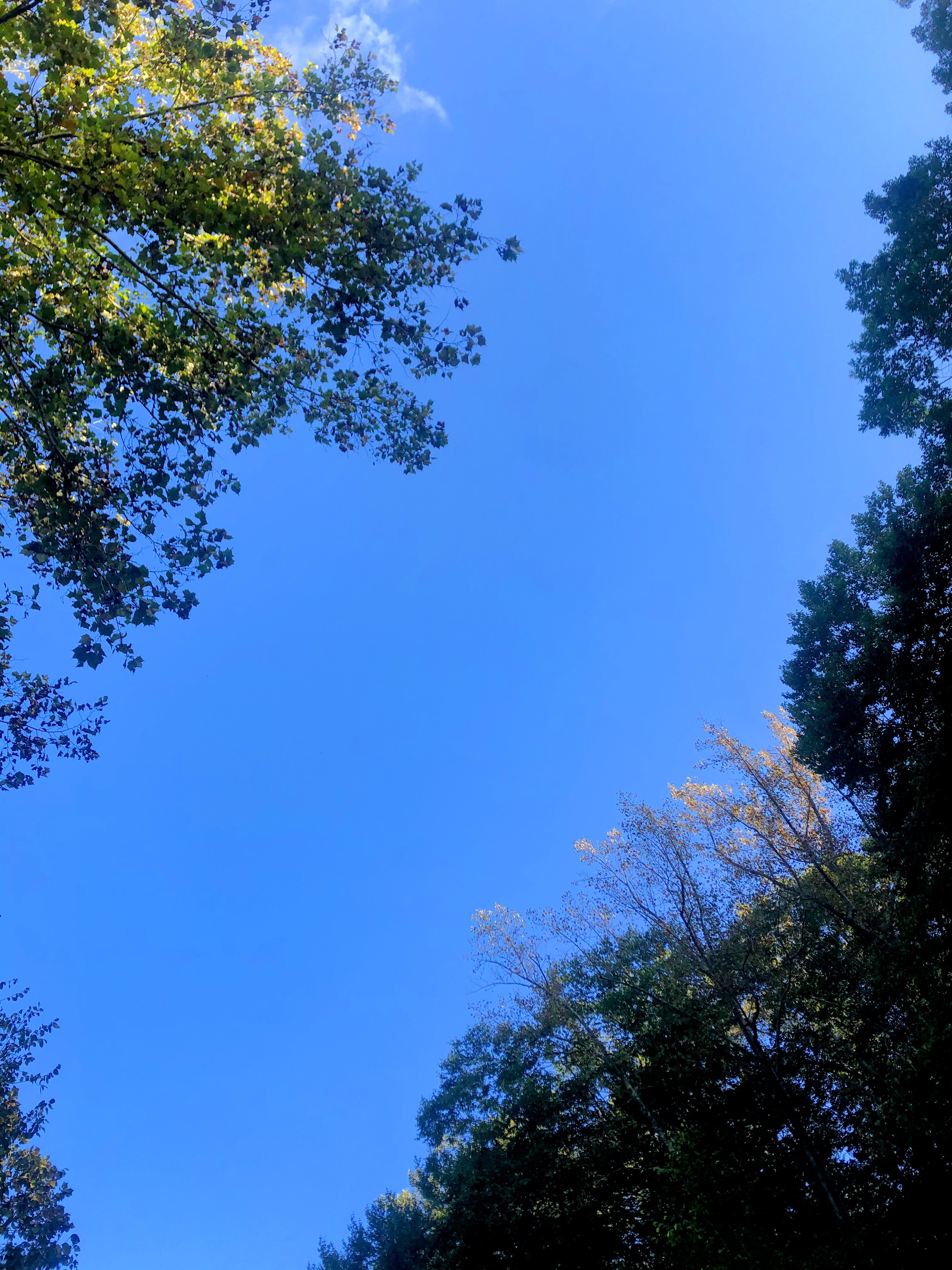 Summer🌞Skyler☁️ OnlyFans header