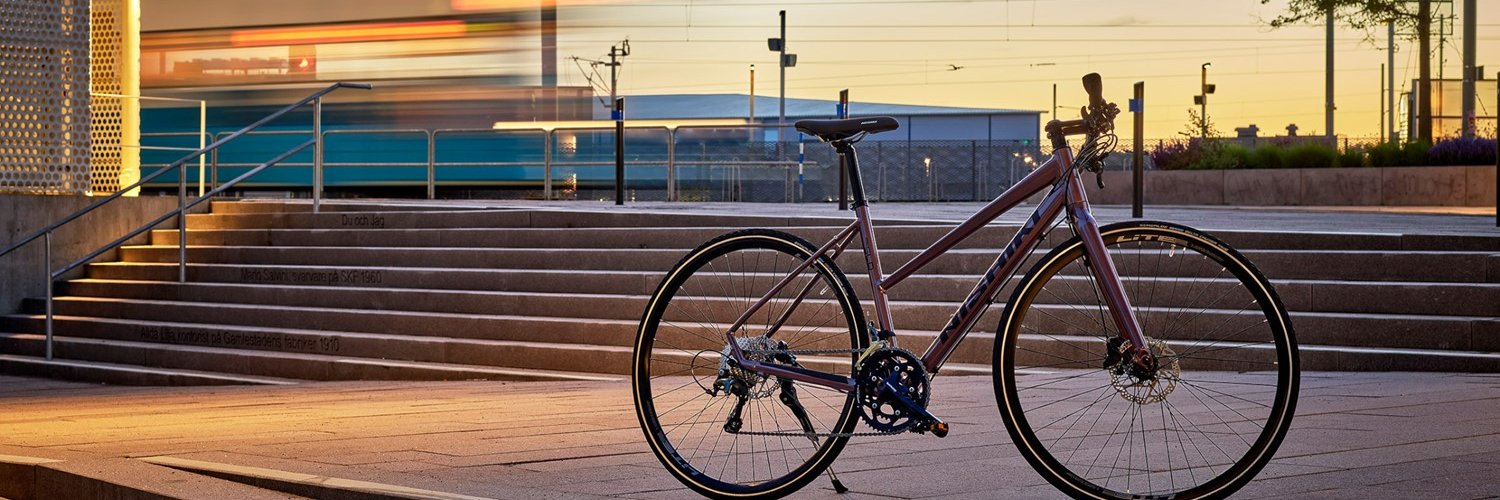 Xe đạp Nishiki OnlyFans header