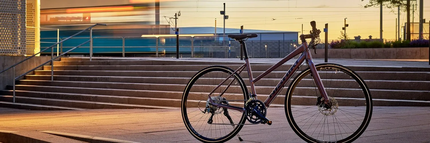 Xe đạp Nishiki OnlyFans header