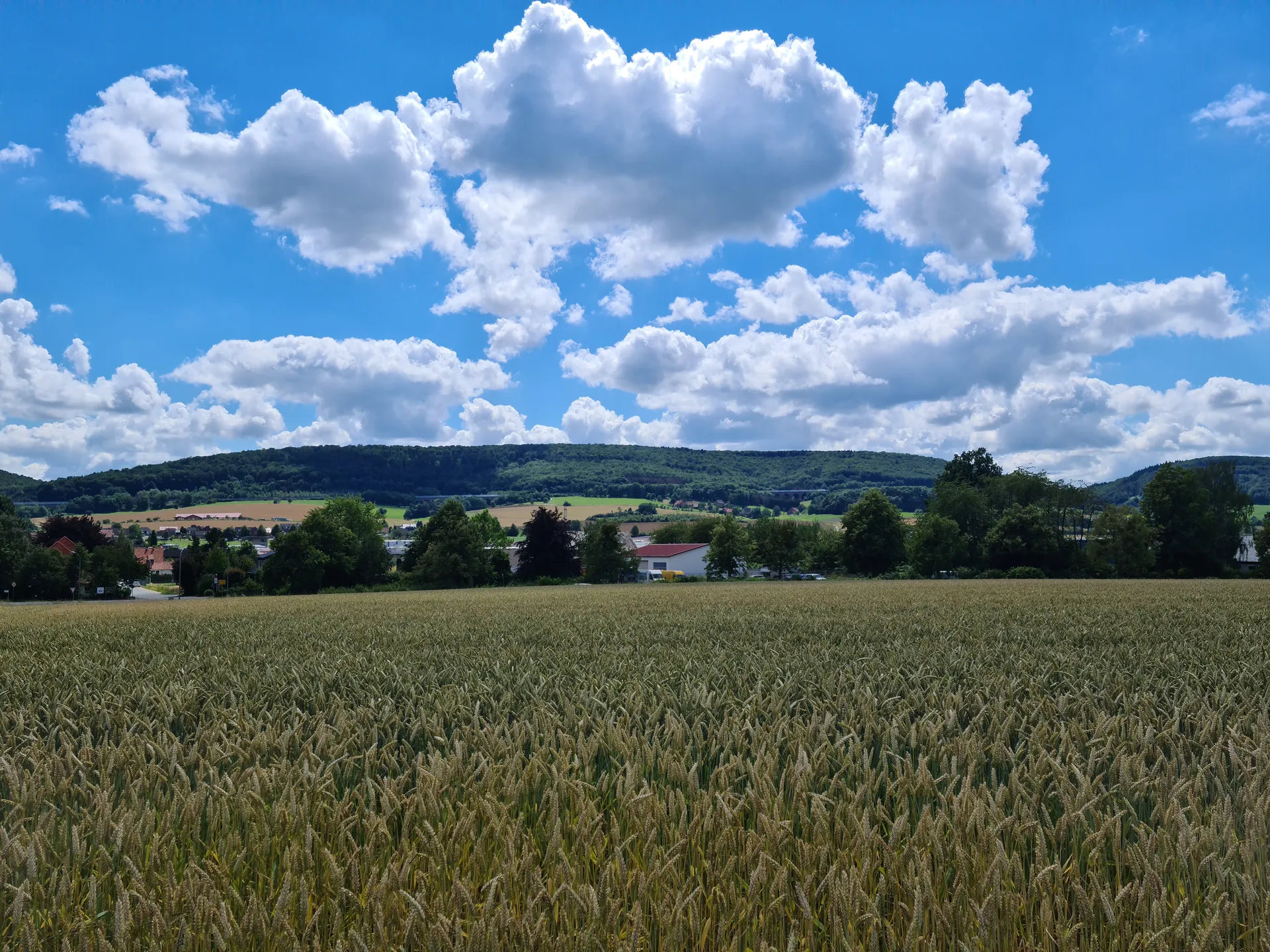 Xeharnot OnlyFans header