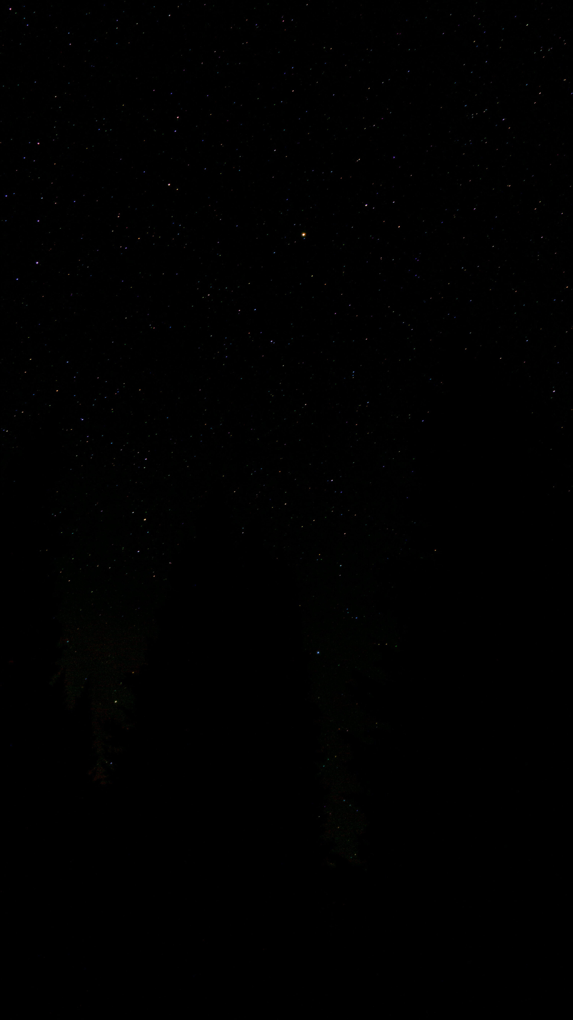 Xelboi OnlyFans header