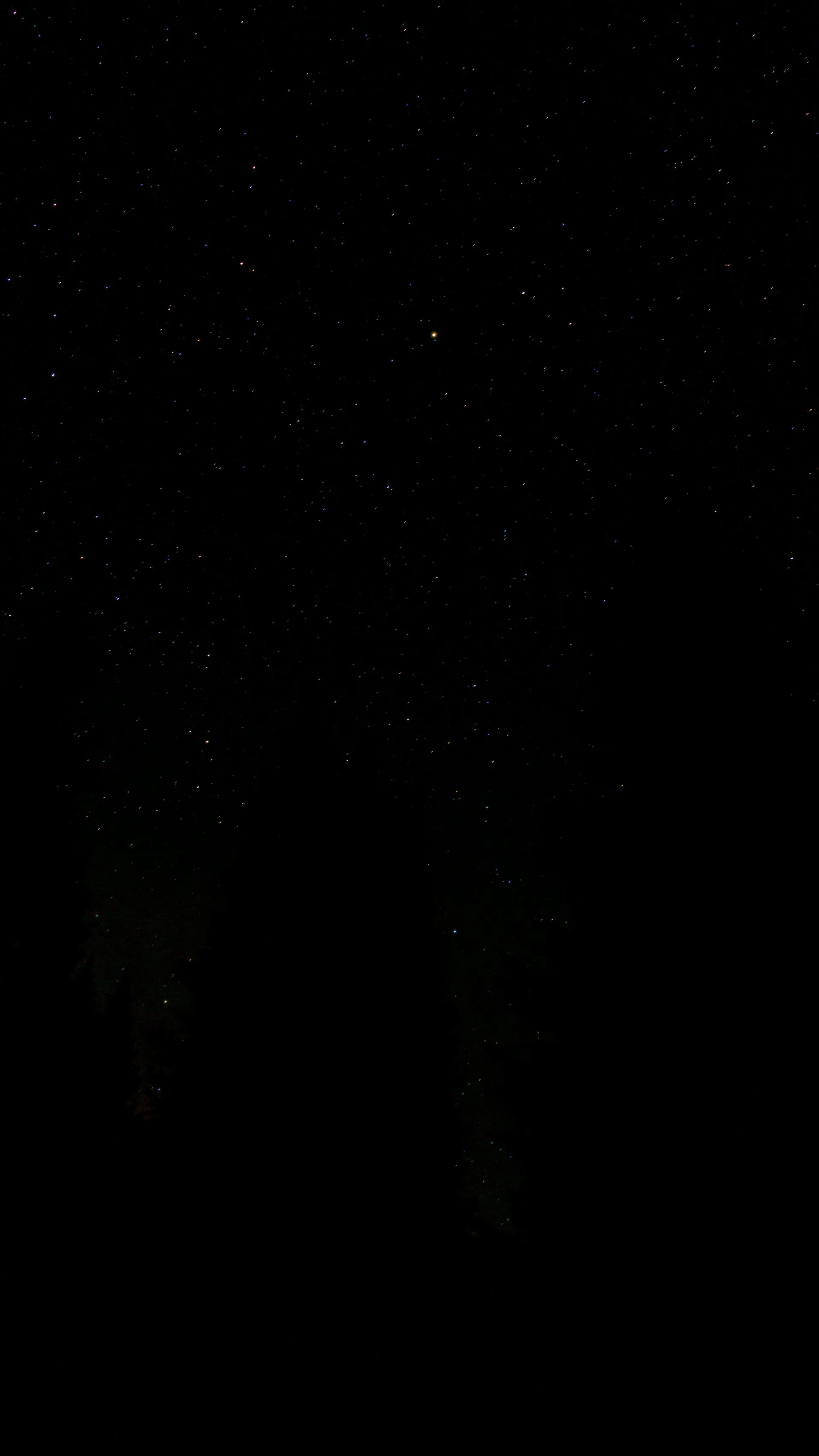 Xelboi OnlyFans header