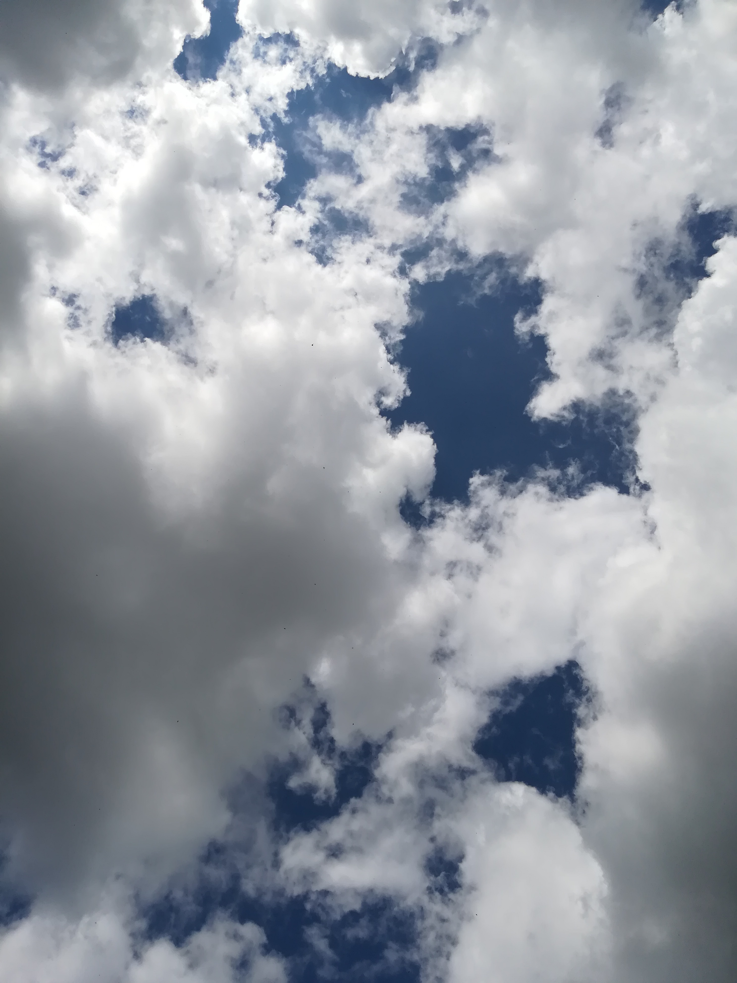 Xelen OnlyFans header