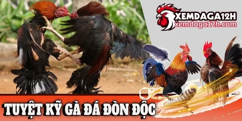 Xem Đá Gà OnlyFans header