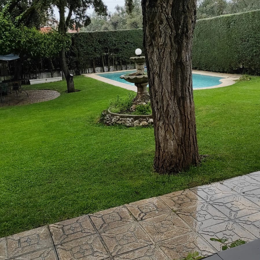 Lucia OnlyFans header