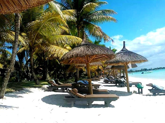 XeniaMartins OnlyFans header