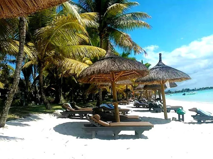 XeniaMartins OnlyFans header