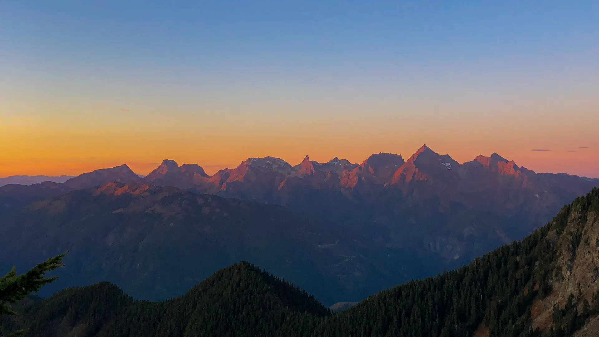 Xenia OnlyFans header