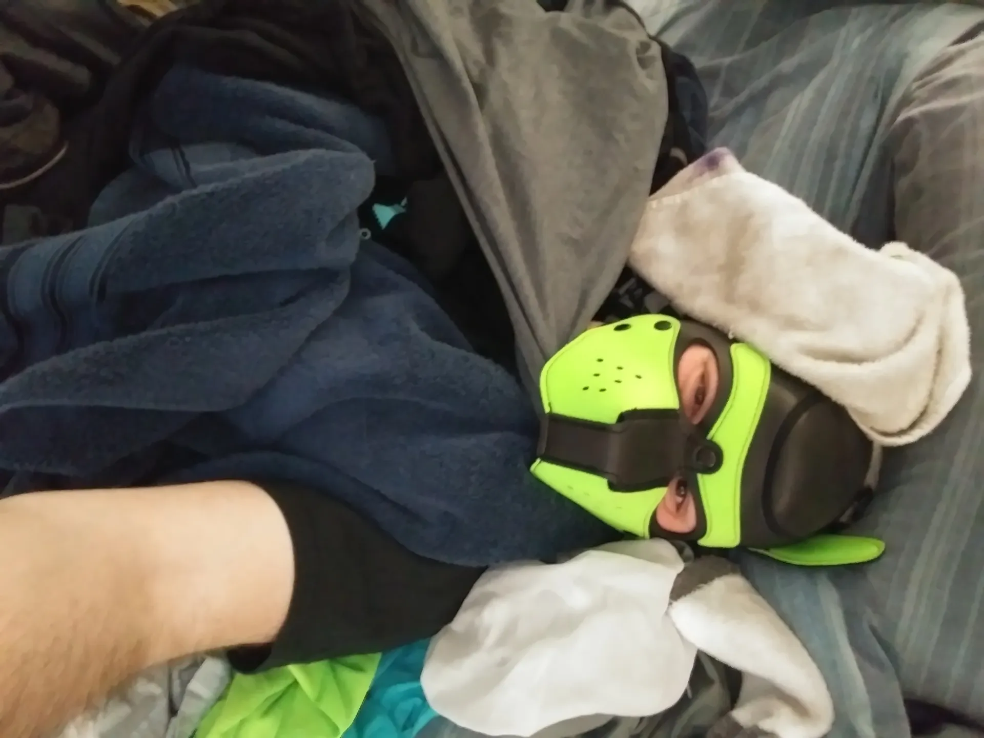 Pup Xen OnlyFans header