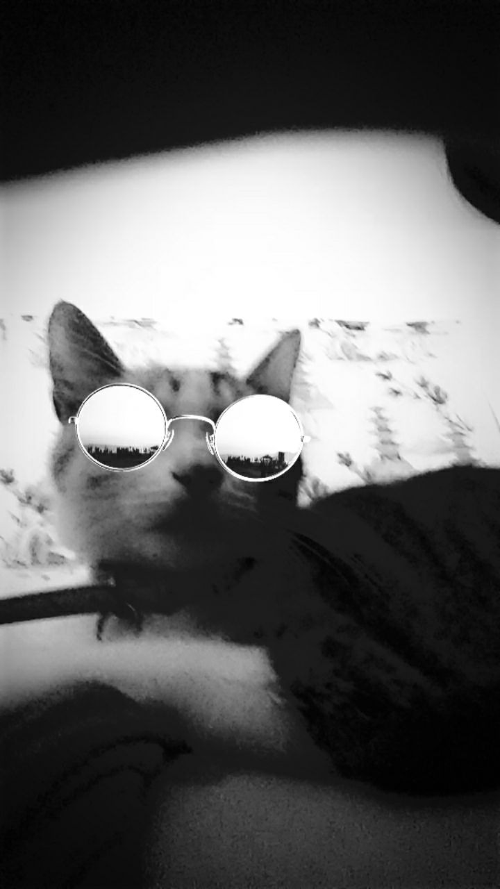 XER HANA OnlyFans header