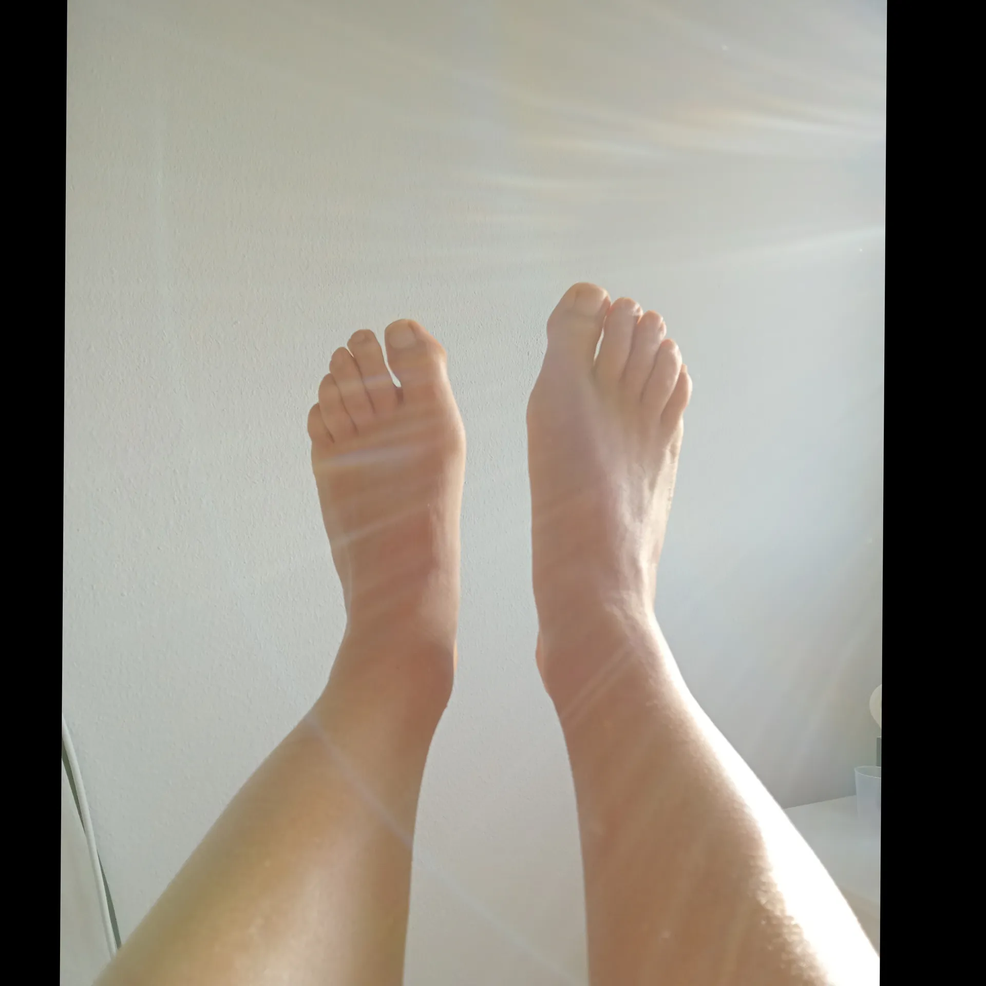 Xerendipity Fans OnlyFans header