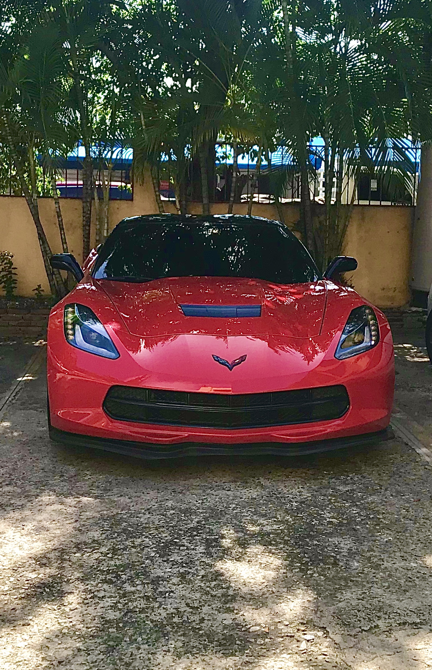 Paulo OnlyFans header