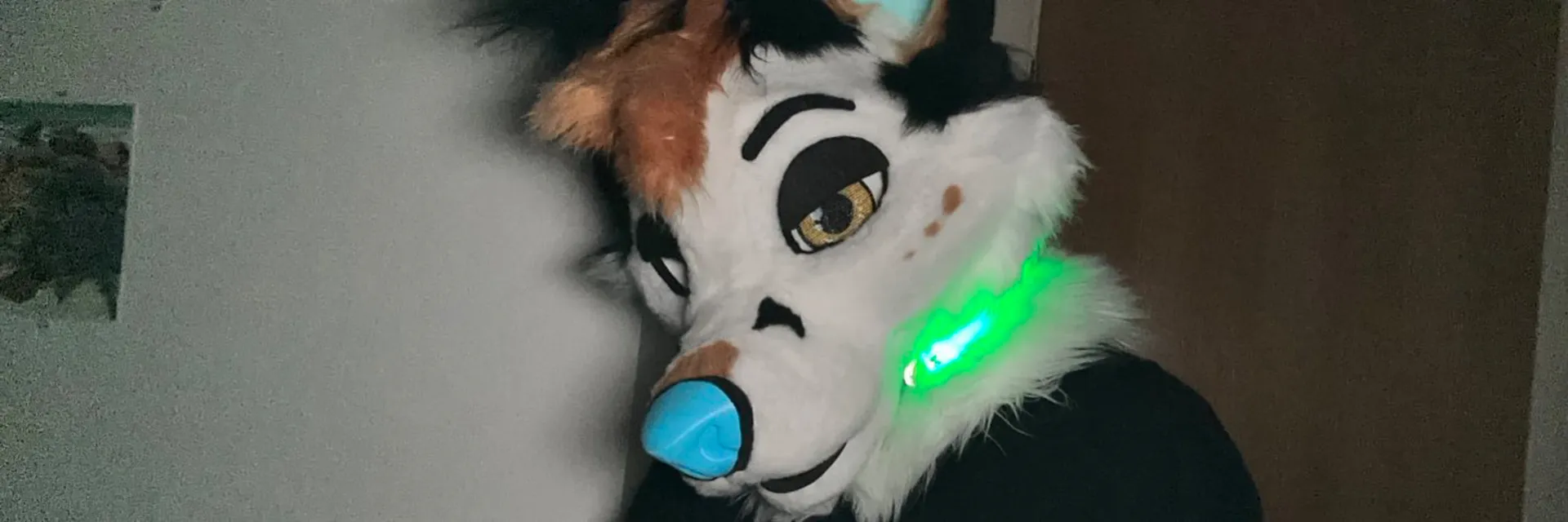 XeroFoxAD OnlyFans header