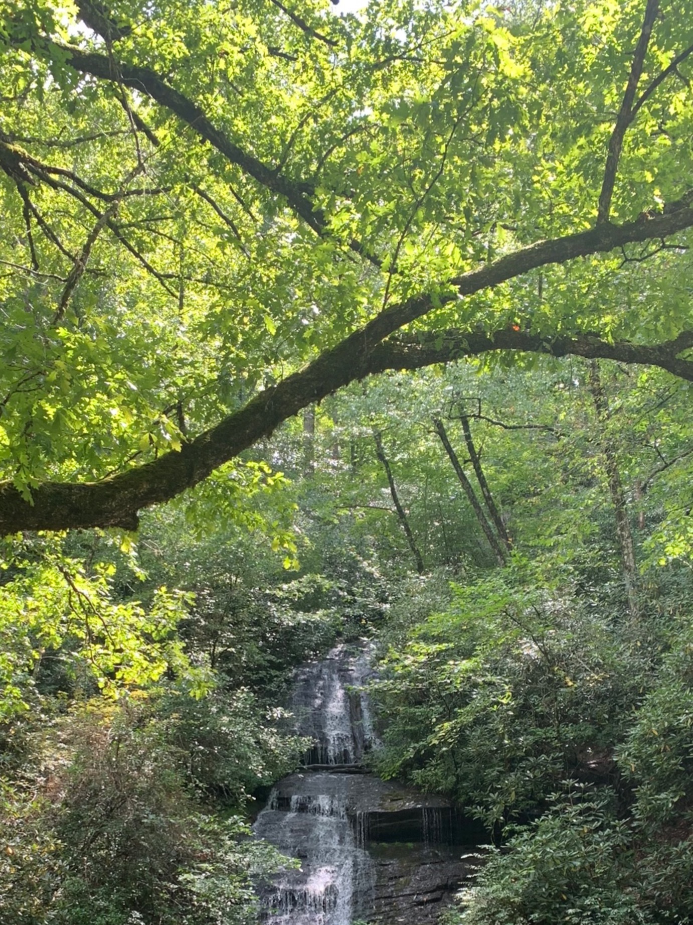 Dragon OnlyFans header