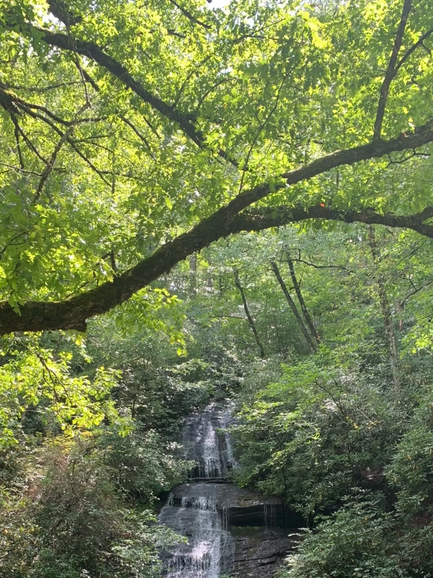 Dragon OnlyFans header