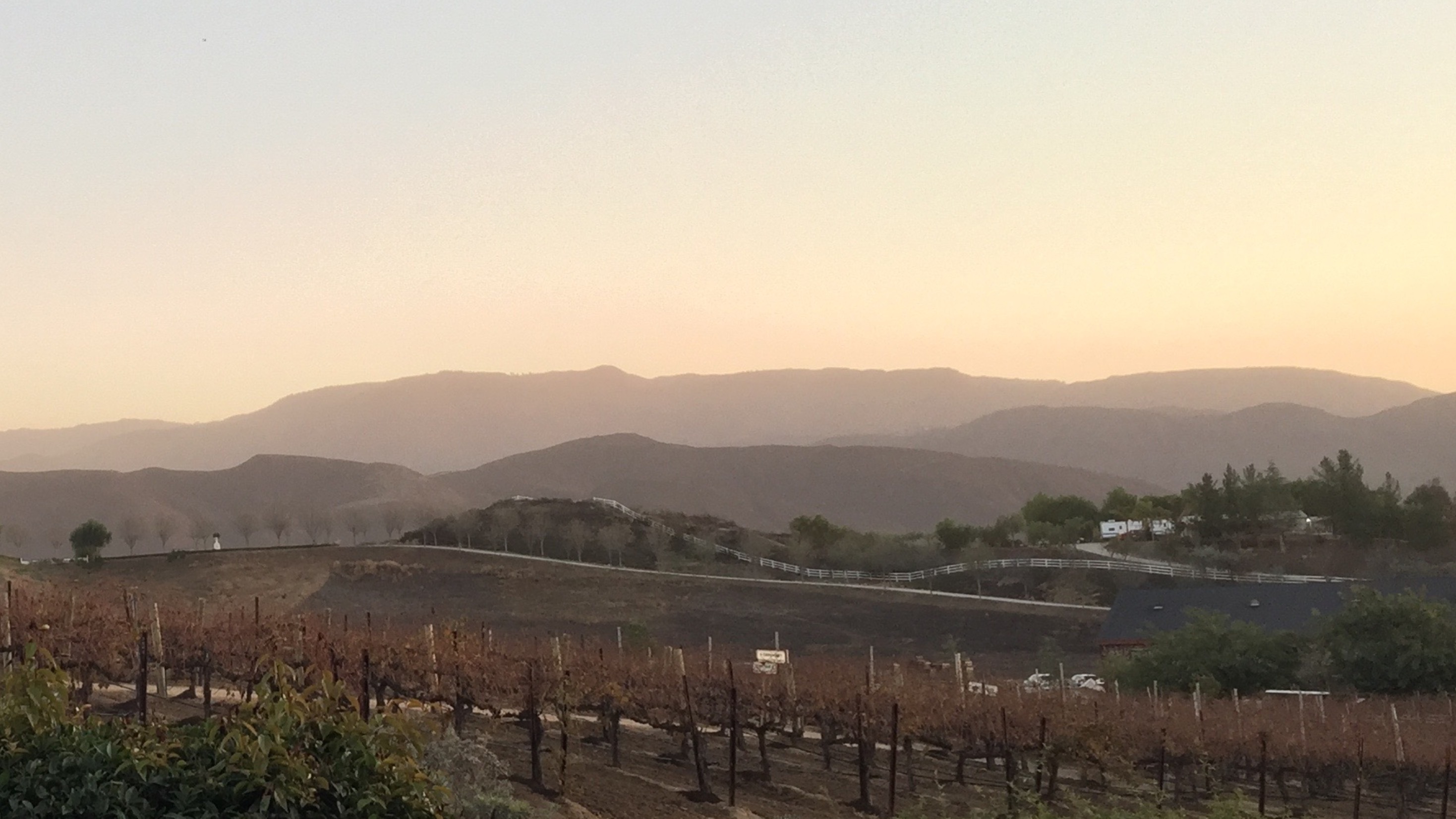 xFreyBoi OnlyFans header