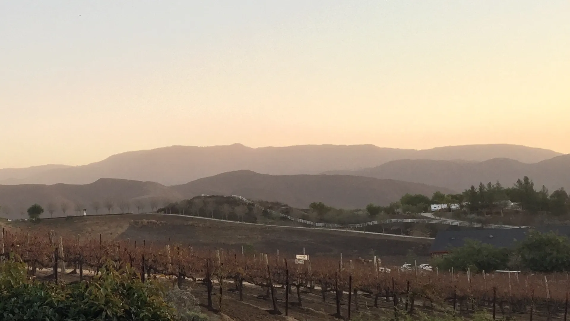 xFreyBoi OnlyFans header