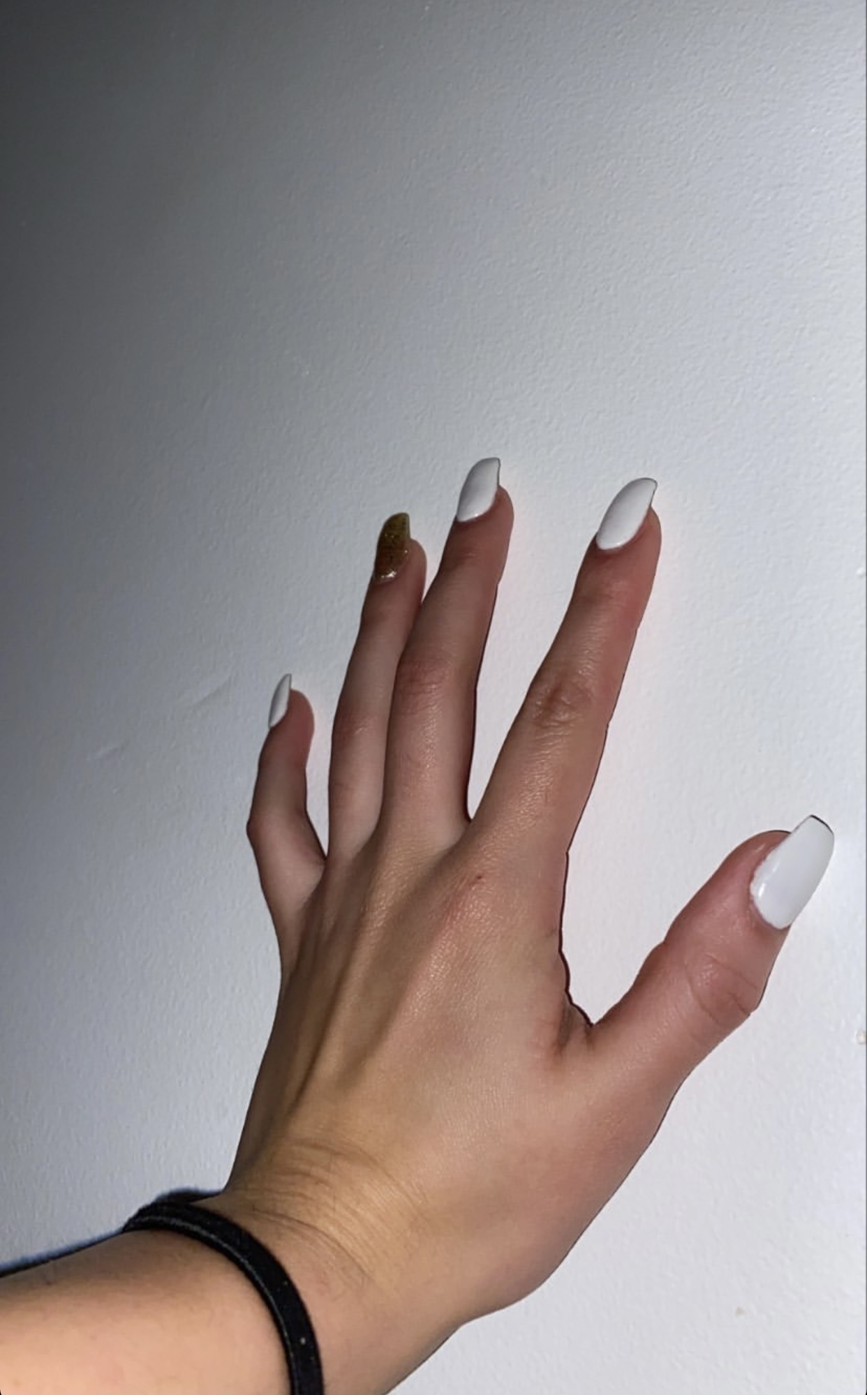 Gabriela XO OnlyFans header