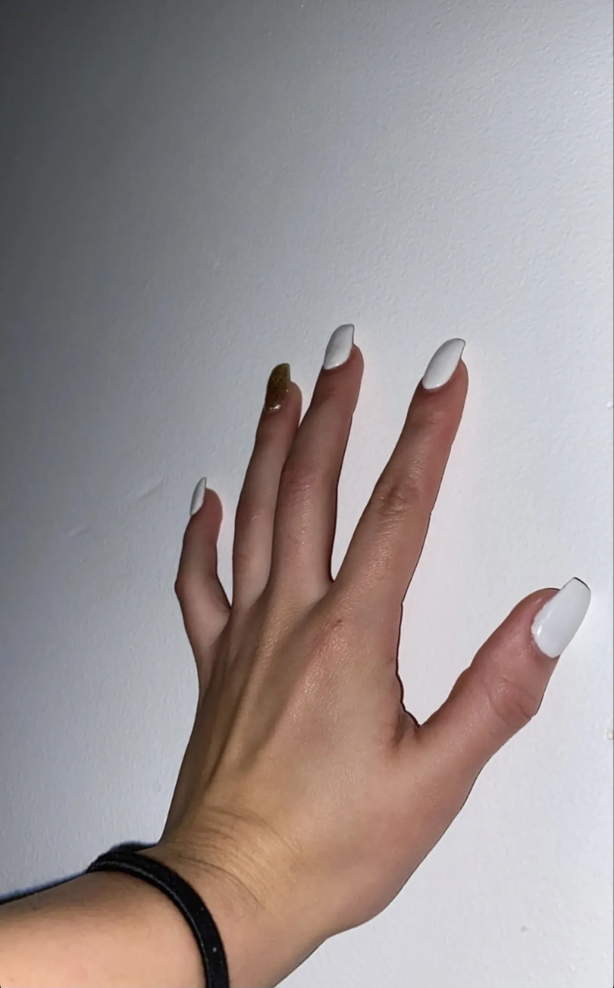 Gabriela XO OnlyFans header