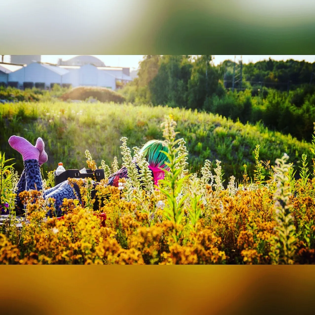 Svenja OnlyFans header