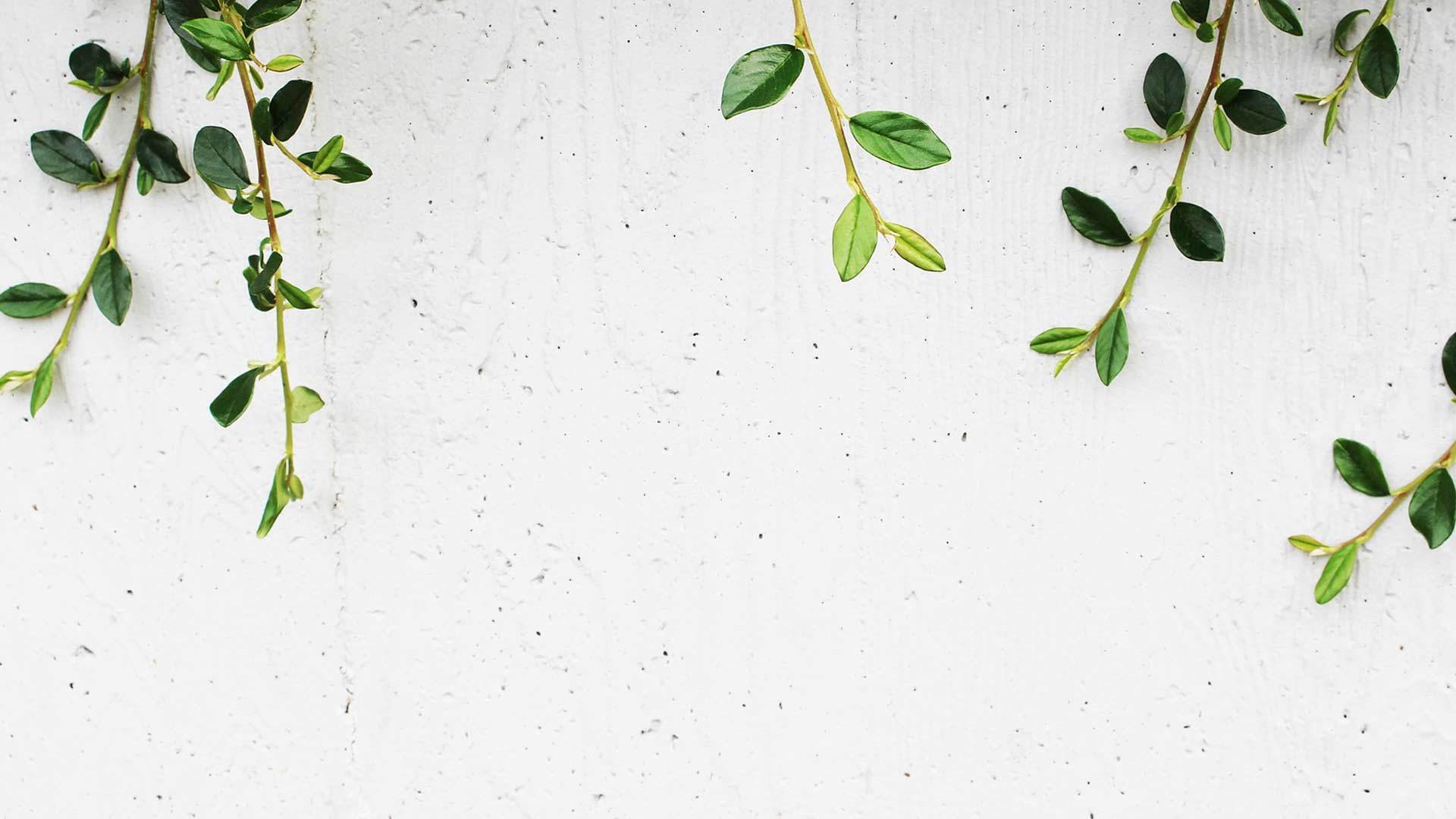 xGetDead OnlyFans header