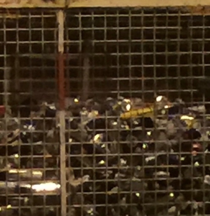 Graeme Hilton OnlyFans