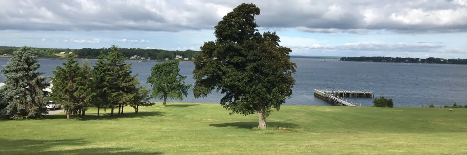 ZayMartin OnlyFans header