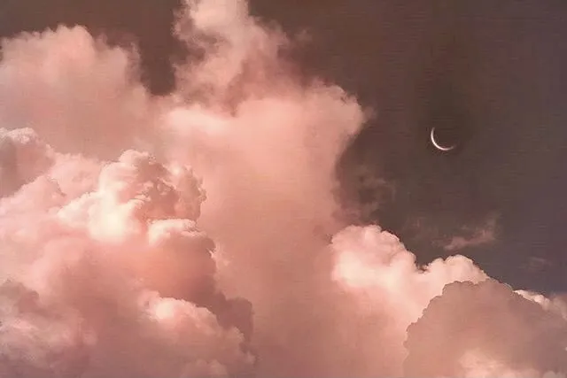 Lena Barbier FREE OnlyFans header