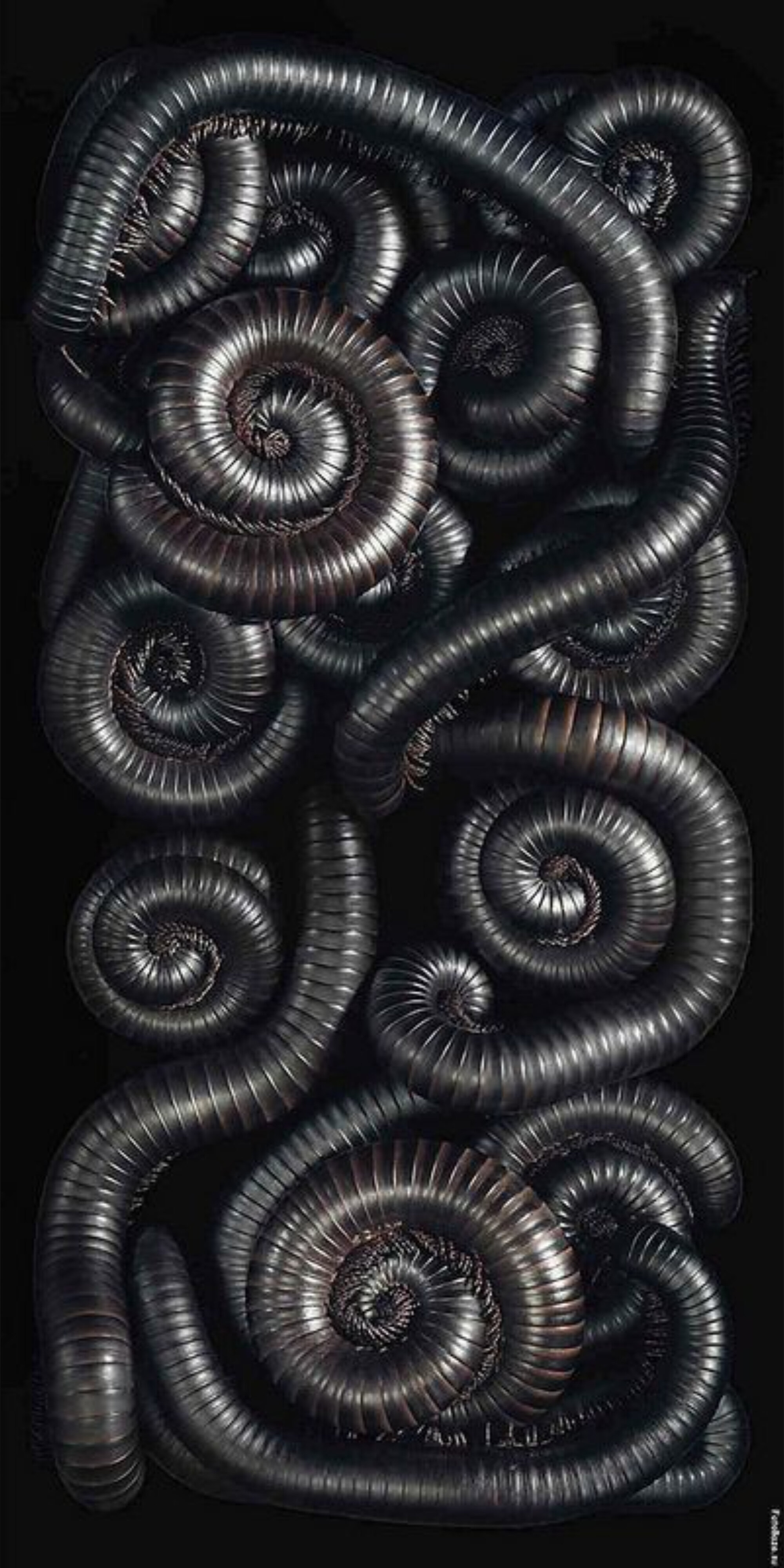 xhell_bound666x OnlyFans header