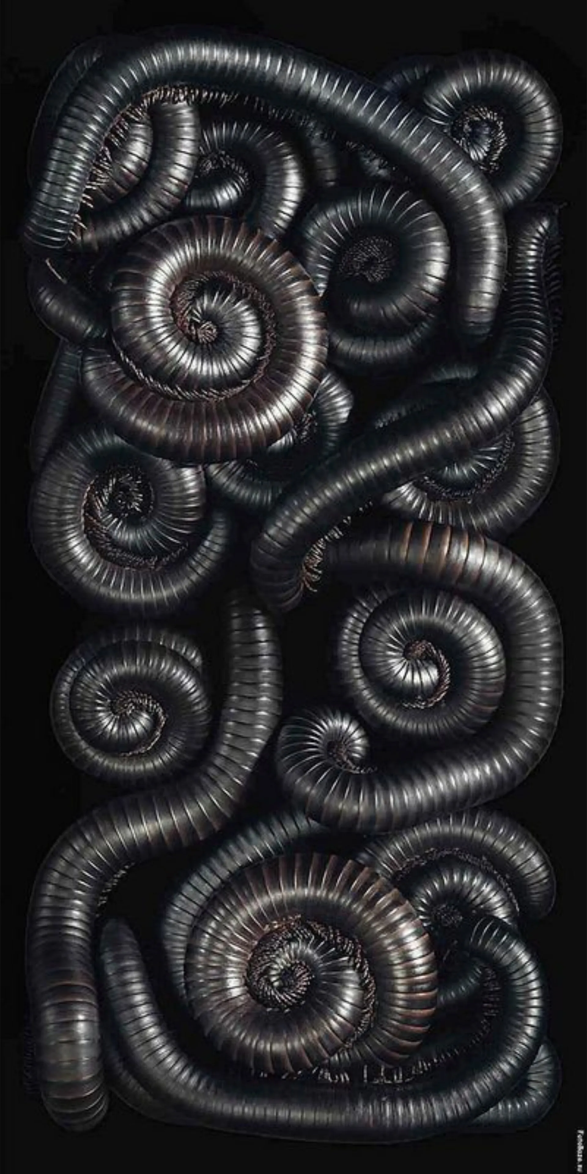 xhell_bound666x OnlyFans header