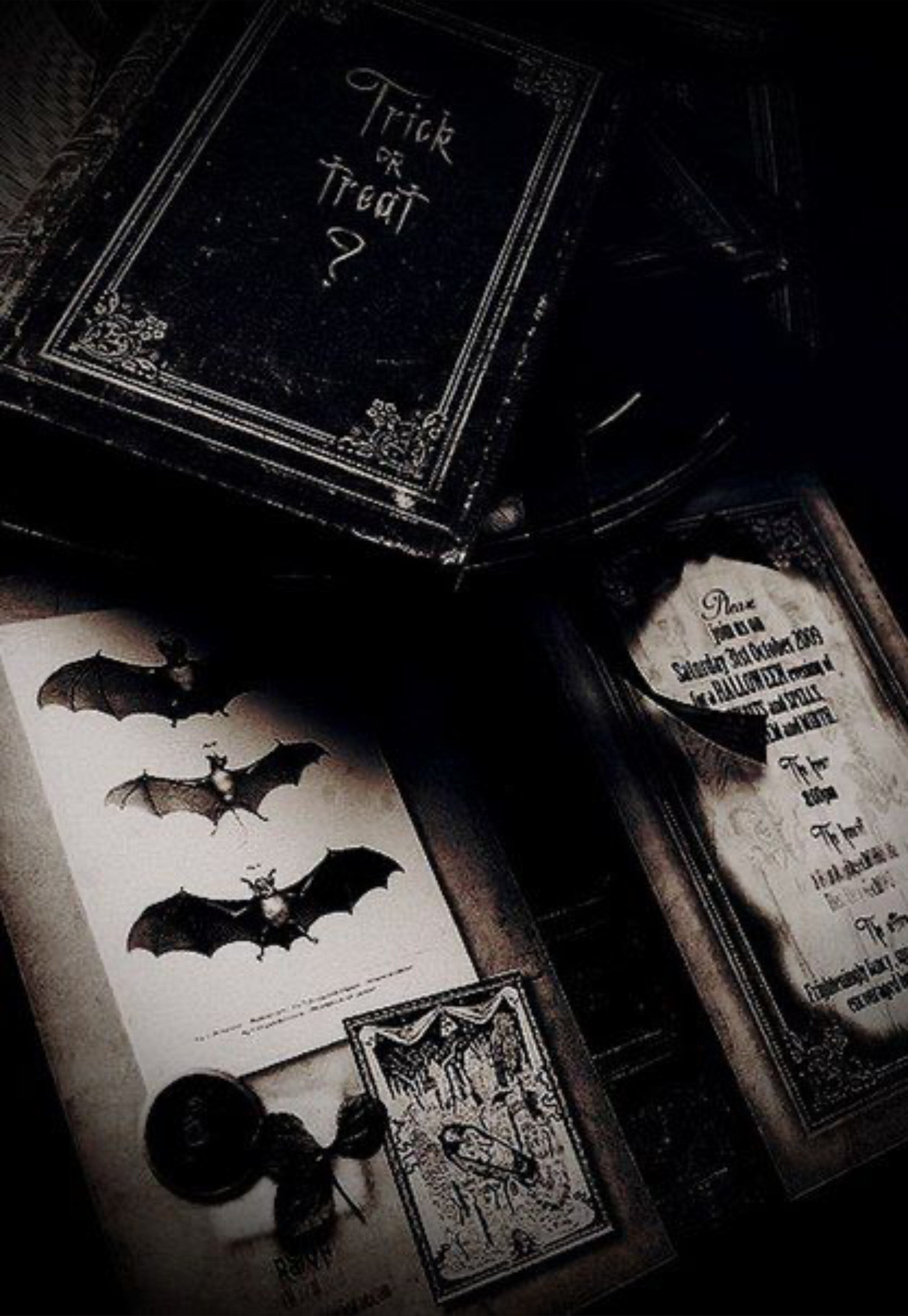 𝕳𝖊𝖝 OnlyFans header