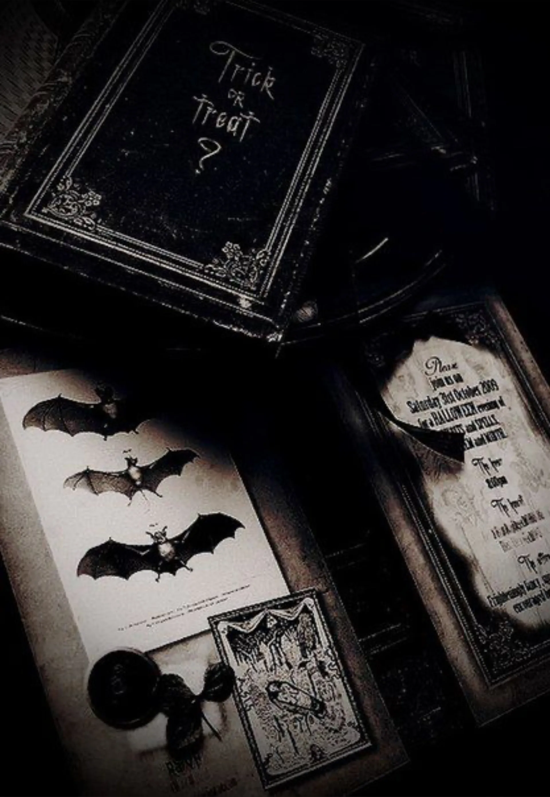 𝕳𝖊𝖝 OnlyFans header