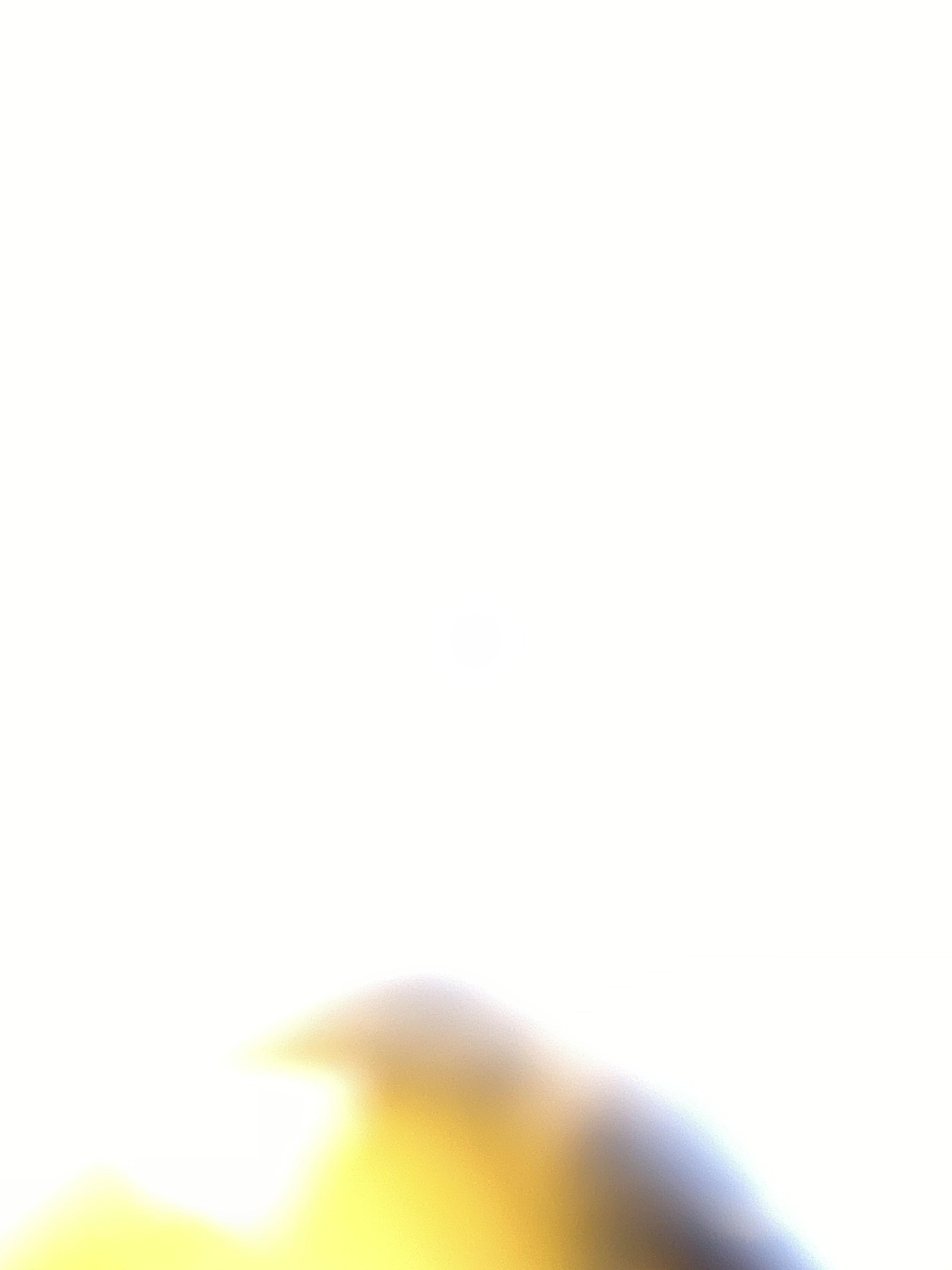 Xianna OnlyFans header