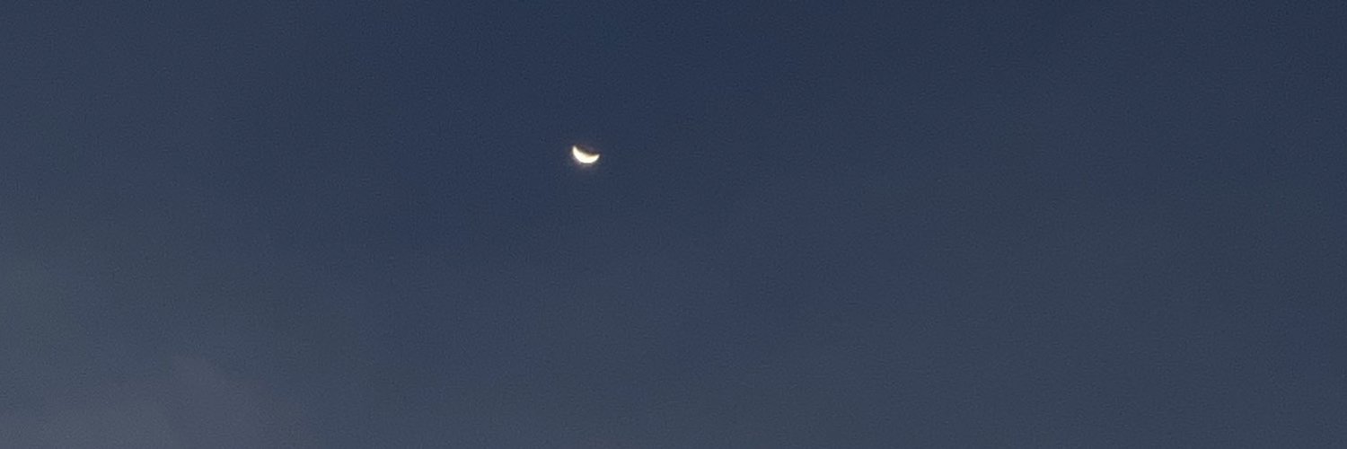 小绵羊 OnlyFans header