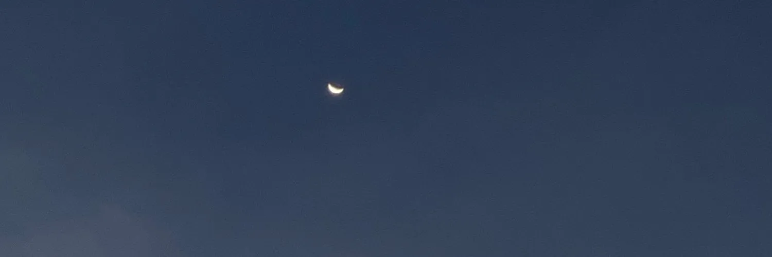 小绵羊 OnlyFans header