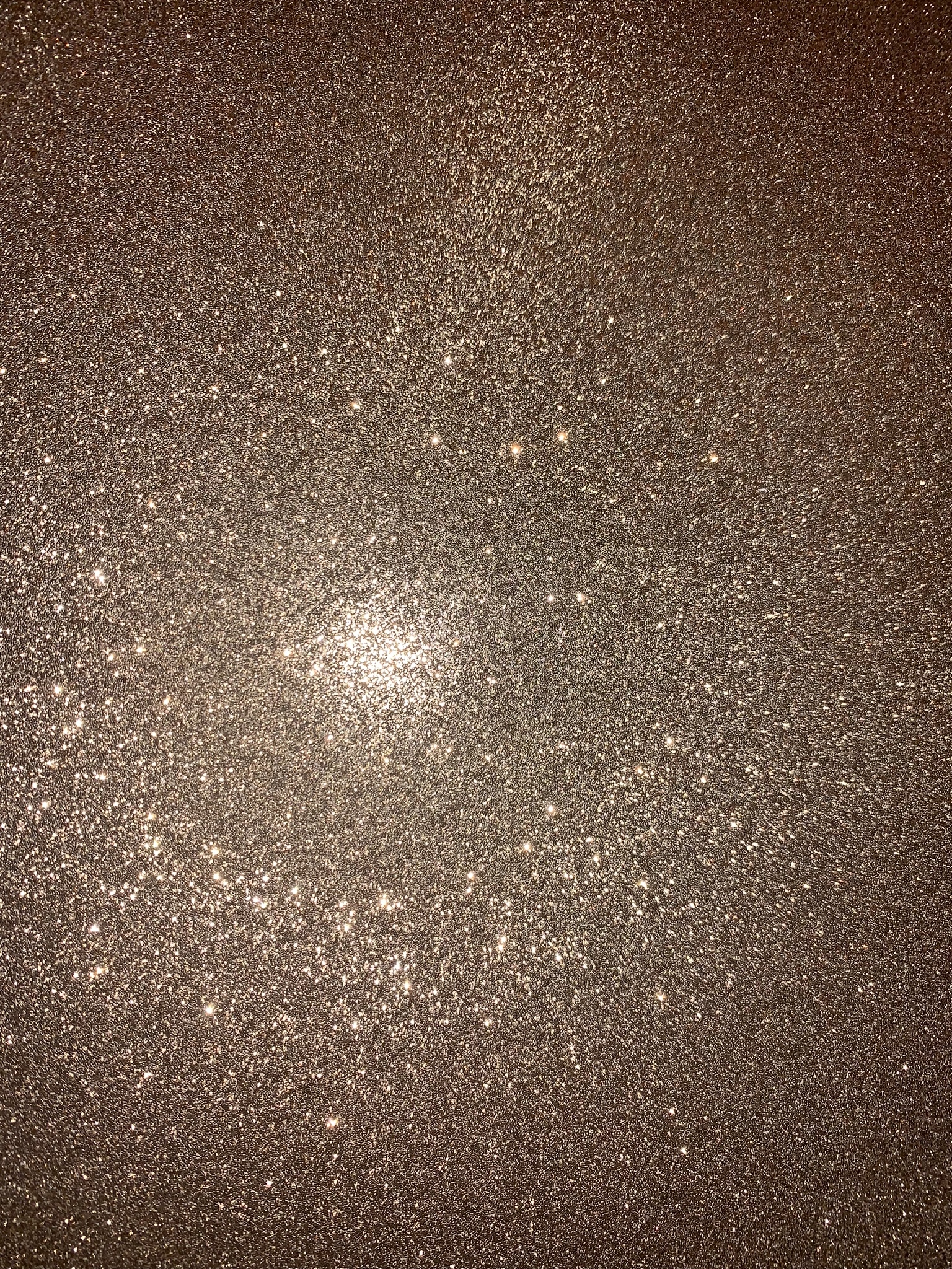 erin OnlyFans header