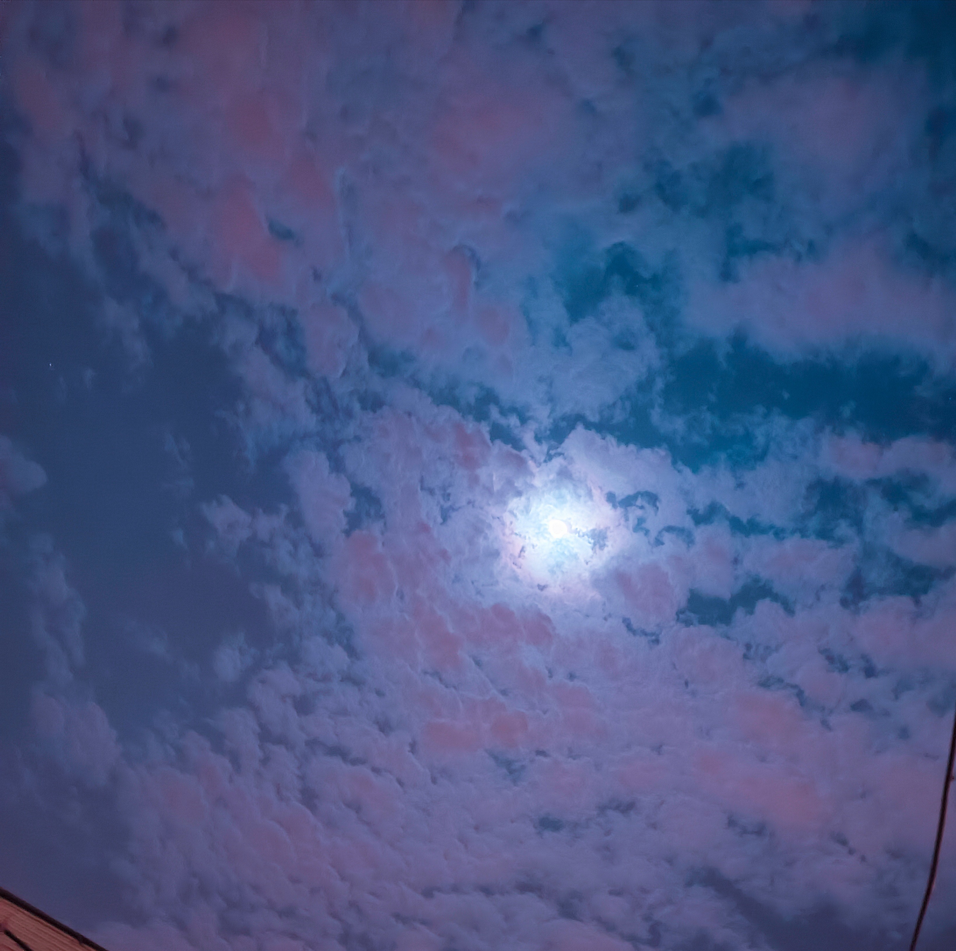 Alex OnlyFans header