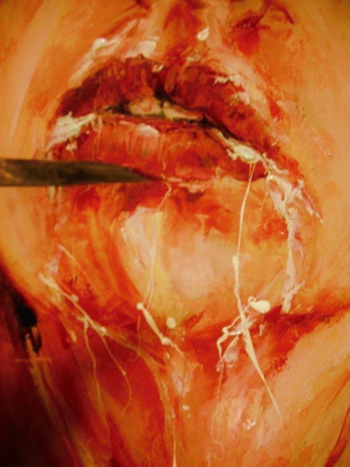 Xi xina OnlyFans header