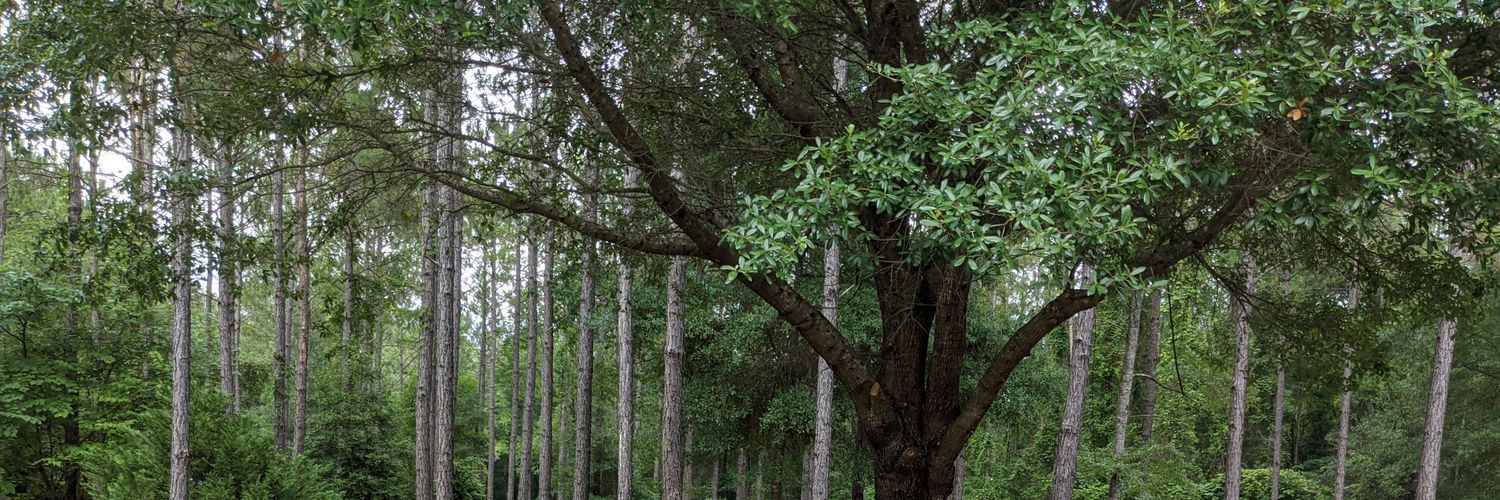 Xiphoid OnlyFans header