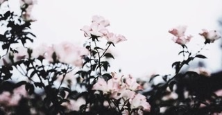 Don’t make me punish you😈 OnlyFans header