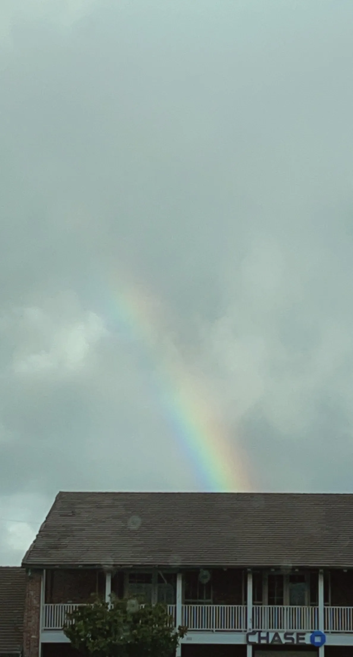 Kinky Bitch Sammy OnlyFans header